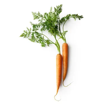 Natural Frozen Carrot